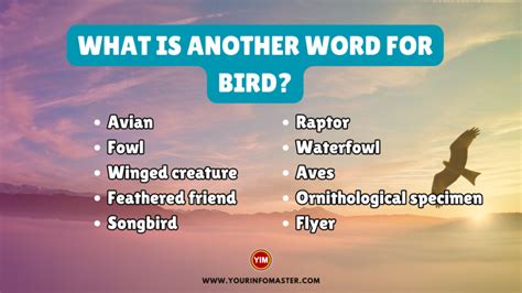 avian synonym|avian etymology.